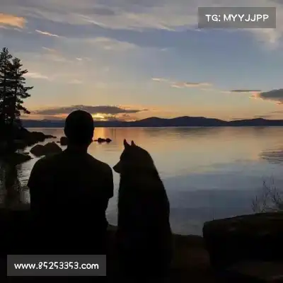 郜韬鲲
